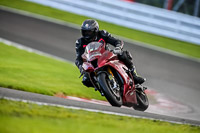 PJ-Motorsport-2019;anglesey;brands-hatch;cadwell-park;croft;donington-park;enduro-digital-images;event-digital-images;eventdigitalimages;mallory;no-limits;oulton-park;peter-wileman-photography;racing-digital-images;silverstone;snetterton;trackday-digital-images;trackday-photos;vmcc-banbury-run;welsh-2-day-enduro